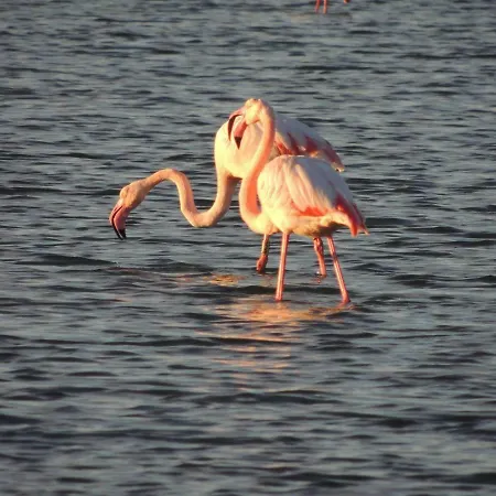 Casa de Férias Il Quarzo